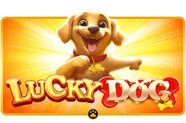 Bàn chơi live casino với dealer thật tại 789 bay phát trực tiếp trên điện thoại